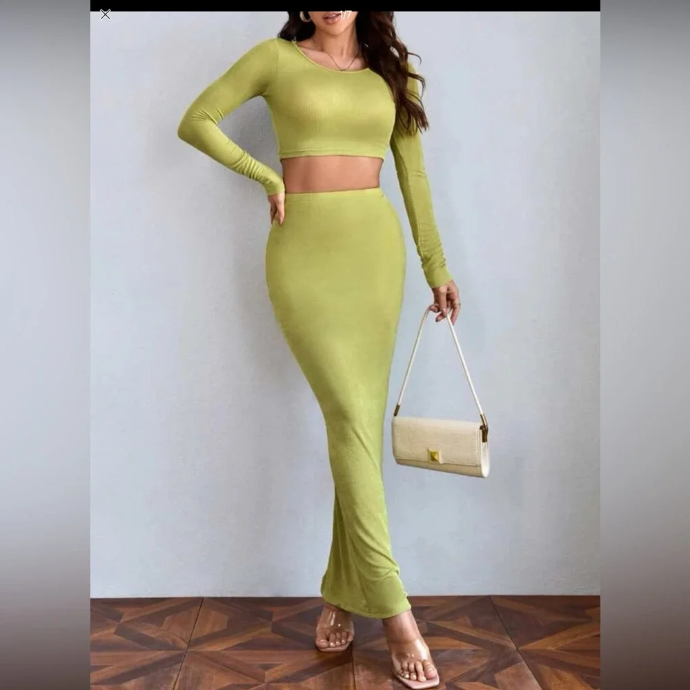 SHEIN Two Piece Skirt and Crop Top Set - Picture 1 of 3